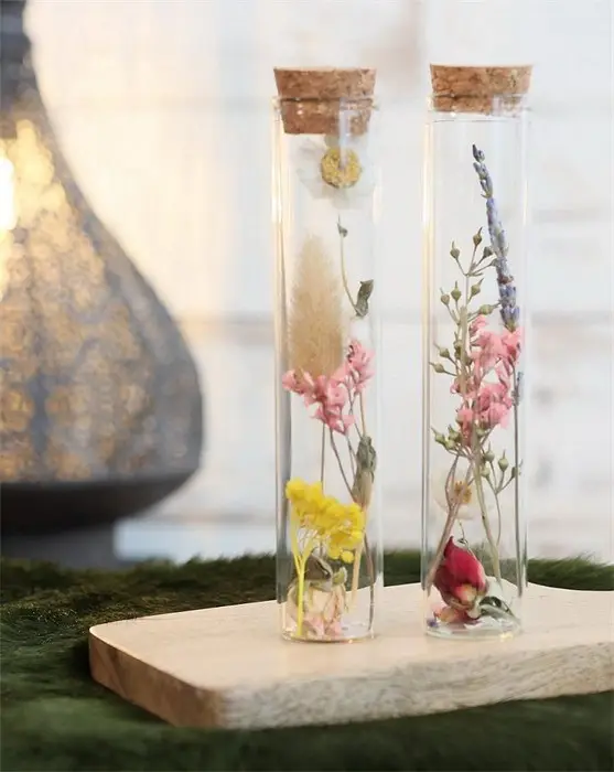 Droogbloemen in glazen buis - 15 cm